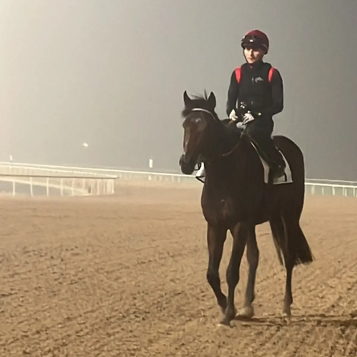 Channagide Set to Race at Meydan